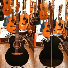 Takamine TDP-500-6_2