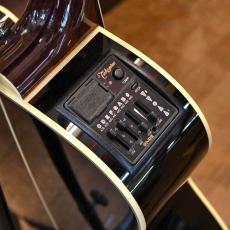 Takamine TDP-500-6_3