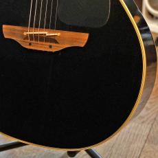 Takamine TDP-500-6_4