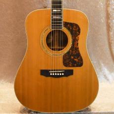 Guild D-55