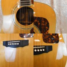 Guild D-55_4