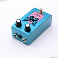 Collateral FX Morpho Chorus_2
