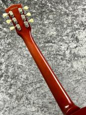 Edwards 【秋の中古楽器セール!】E-LP-98 LTS /LemonDrop【2005'sUSED】_6