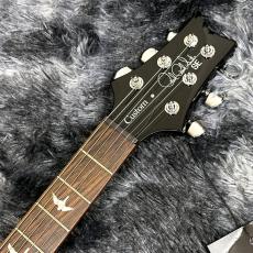 Paul Reed Smith [PRS] SE Custom 24 Blue Matteo【日本限定カラー】【定番モデル】_6