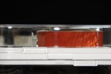 Thalia Capo Red Angel Wing w/White Spaghetti Logo【伝統的なFenderスパゲッティロゴ】 【未開封品・同梱可】_4