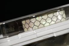 Thalia Capo Exotic Shell Pearl Dragon Scales DX Black Chrome【同梱可能】 【未開封品】 【在庫入替特価】_3