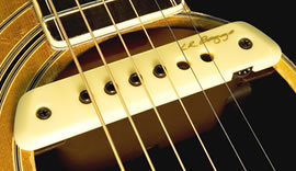 L.R.Baggs M1 Active