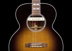 L.R.Baggs M1 Active_2