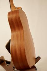 Taylor GS Mini-e Special Edition Blue Burst / Torrefied Sitka Spruce / ES-B_11