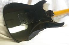 FERNANDES PR-45_3