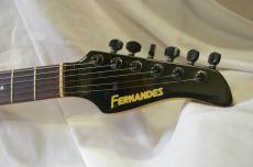 FERNANDES PR-45_4