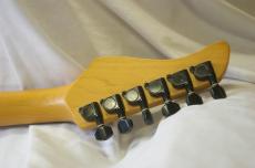 FERNANDES PR-45_5