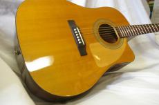 Epiphone AJ-100CE