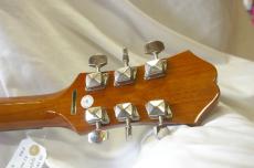 Epiphone AJ-100CE_7