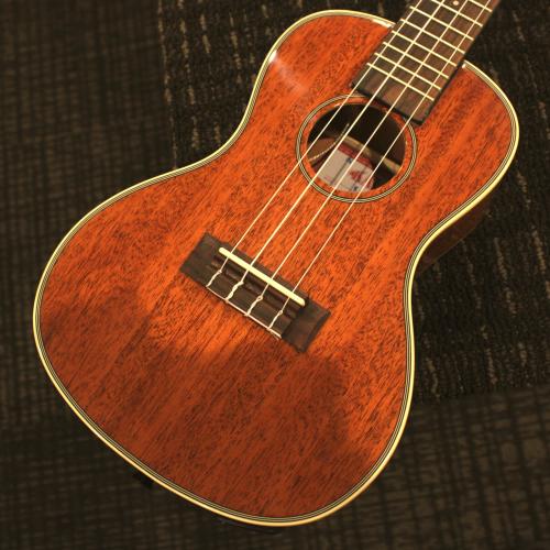 KALA 【ピックアップ搭載】【ハイコストパフォーマンス】KA-CGE