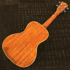 KALA 【ピックアップ搭載】【ハイコストパフォーマンス】KA-CGE_8