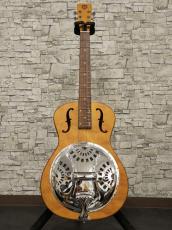 Epiphone Dobro Hound Dog Round Neck 2018_10