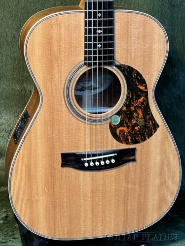 Maton 【アウトレット】EBG808 Artist #30081【48回迄金利0%対象】【送料当社負担】