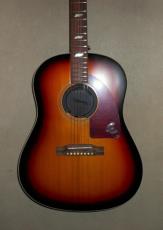 Epiphone TEXAN_2