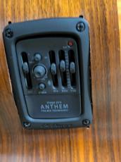 Lowden L-32 CP 【訳あり特価※説明文をかならずお読みください】_7