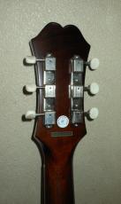 Epiphone TEXAN_4