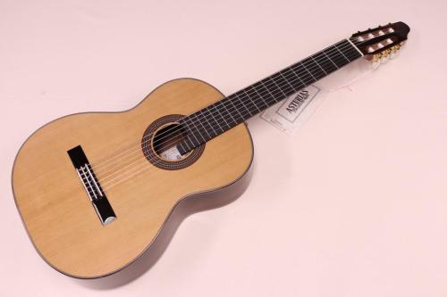 ASTURIAS アストリアス 7弦ギター 7-STRINGS
