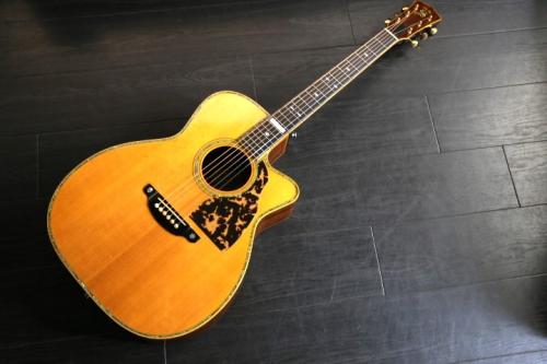 Shelly SS-CI Sumi工房製 生産終了の貴重品