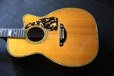 Shelly SS-CI Sumi工房製 生産終了の貴重品_8