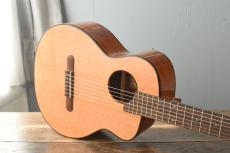 aNueNue Bird Guitar aNN-MN14_2