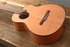 aNueNue Bird Guitar aNN-MN14_4