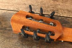 aNueNue Bird Guitar aNN-MN14_5