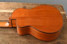 aNueNue Bird Guitar aNN-MN14_8
