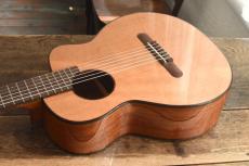 aNueNue Bird Guitar aNN-MN14_9