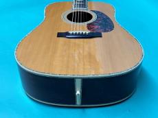 Martin D-45_11