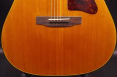 Gibson J-50 Deluxe_9