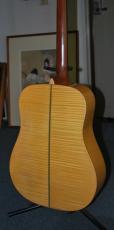 ASTURIAS D.Current　Maple_2
