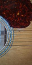 ASTURIAS D.Current　Maple_6
