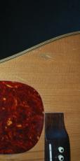 ASTURIAS D.Current　Maple_7