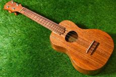 KoAloha KCM-00 Concert【USED/2014年】_2