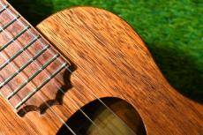 KoAloha KCM-00 Concert【USED/2014年】_9