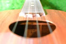 KoAloha KCM-00 Concert【USED/2014年】_16
