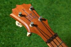 KoAloha KCM-10 Pikake Concert【USED/2004年】_5