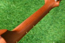 KoAloha KCM-10 Pikake Concert【USED/2004年】_8