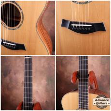 Taylor 2010年製 TGS2010 BTO/GAC-MRW_6