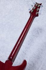 Paul Reed Smith [PRS] 【特選中古】Custom 24 10Top/BirdInlay -BlackCherry-【2011'sUSED】 【3.52Kg】_5