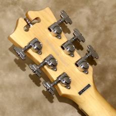 D'Angelico Premier Series Premier Bedford, Black Flake_5