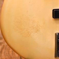 Ibanez SR1000E_5