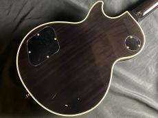 FUJIGEN CNLC20EWE_9