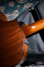Taylor 314ce ES2 / 2014_8