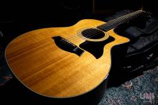 Taylor 314ce ES2 / 2014_10